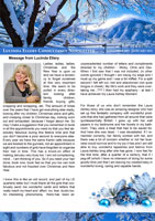 Nov - January 2012 Hair Newsletter