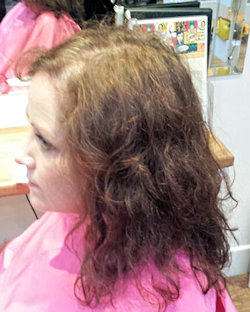 Stevie before