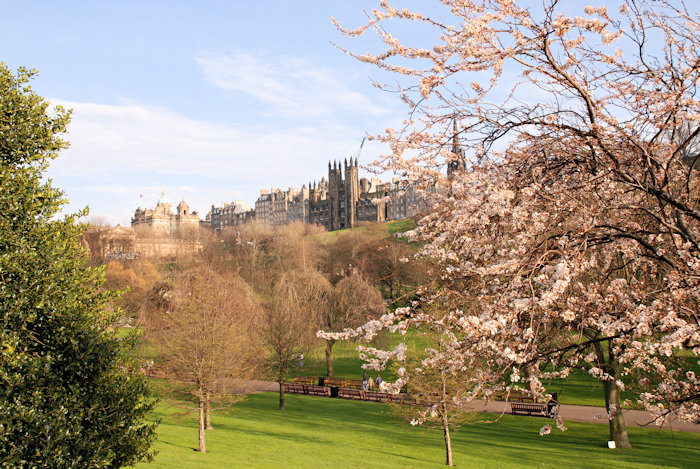 Princes Street Gardens