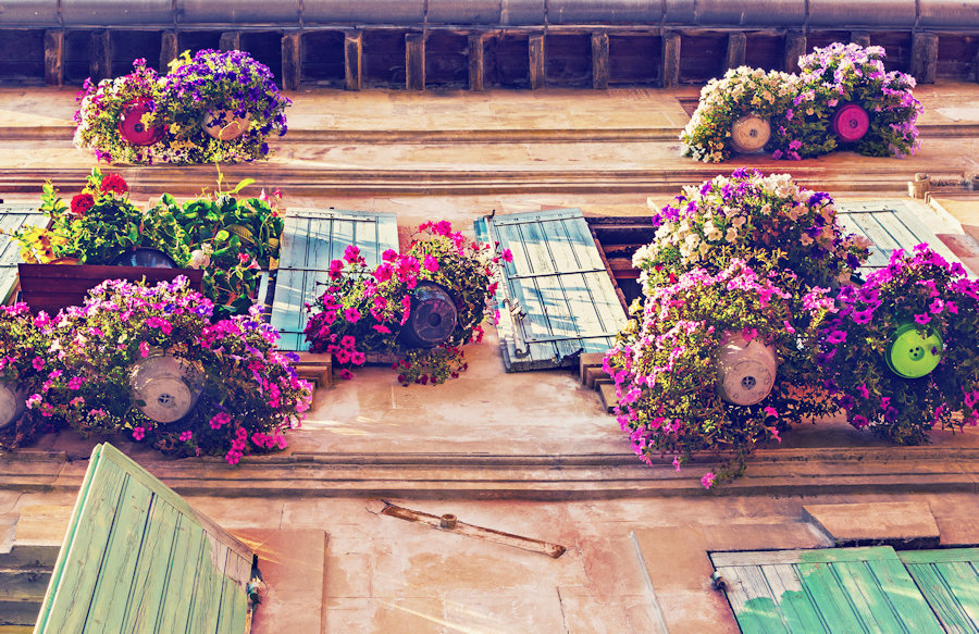 hanging baskets